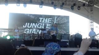 Mr. Polite - The Jungle Giants Wanderland Music Festival 2015