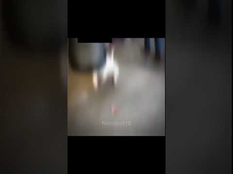 Hard work is the key to success🤣 | Wait for last | 😂😂 || #Nshorts918 #shorts #hardwork