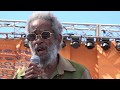 Max Romeo 'Uptown Babies Don't Cry' Sierra Nevada World Music Festival Jun 24, 2018