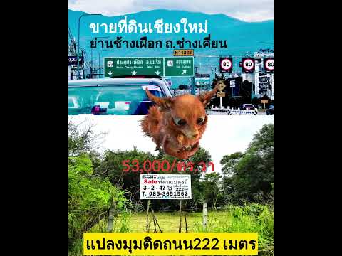 ช่างเคี่ยน เชียงใหม่, เชียงใหม่, 999 ช่างเคี่ยน, ช้างเผือก, เมืองเชียงใหม่, เชียงใหม่, 5,788 ตร.ม., ที่ดิน ขาย, โดย ปราบ ถิรานุสรณ์, 11023461 - DDproperty.com