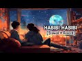 Habibi Habibi Rahat Fateh Ali Khan Habibi Habibi Mast Sa Tha Dil Mil Ka Tuj Ku Mast Hu Dil