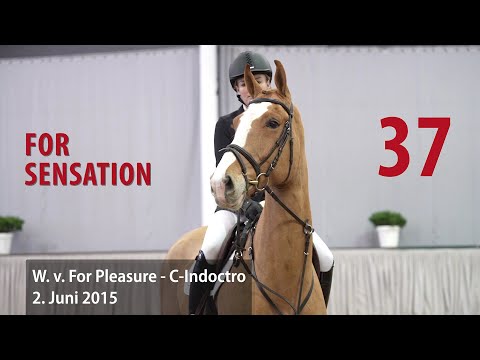 37 For Sensation Wallach v. For Pleasure - C- Indoctro