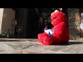 Peek A Boo Elmo Destruction