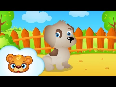 1 godzina piosenek dla dzieci - mix piosenek - pieski małe dwa, wlazł kotek