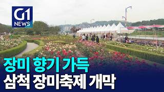[G1뉴스]'장미 향기 가득'..삼척 장미축제 개막