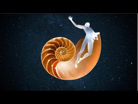 O PROPÓSITO DA DOR - Maurício Duboc