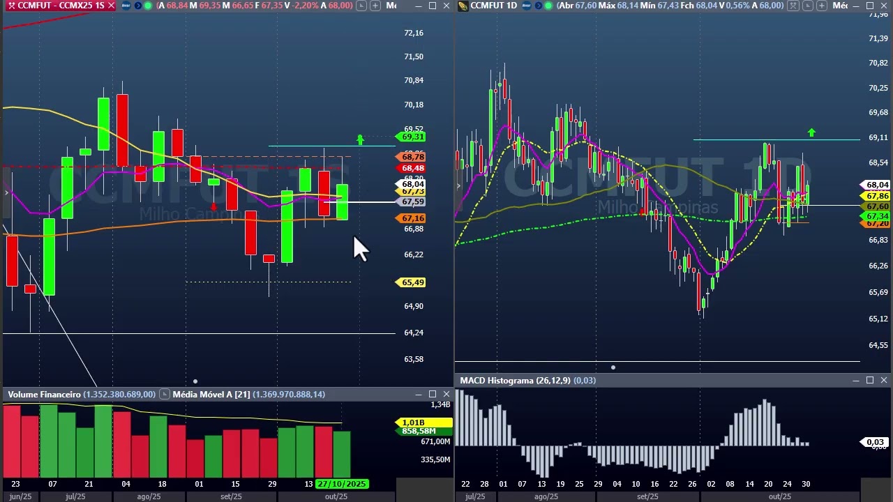 Fechamento semanal B3 - 31 de outubro - centenas de trades lindos indo embora