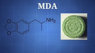 MDA: What You Need To Know