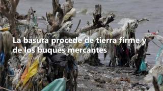 La isla de basura, un problema que crece
