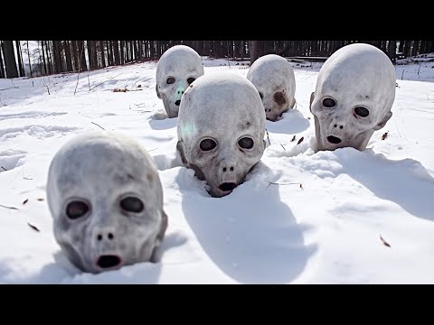 , title : 'Criaturas Terroríficas Halladas Congeladas en la Antártida'