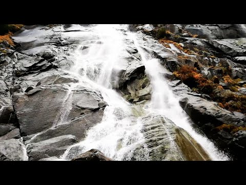 014 SDA Hymn - Let Us Praise the Name of the Lord (Singing w/ Lyrics)