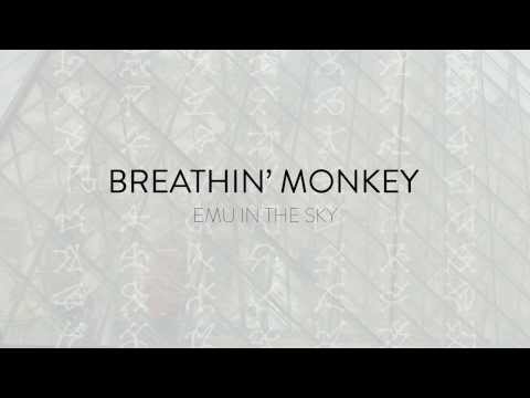 Breathin' Monkey - Emu in the sky (piano a 4 manos)