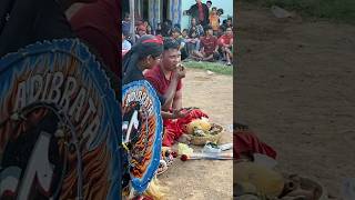 Download lagu Mas Dewa was possessed while angry #jaranan #arekbudoyo #barongan mp3