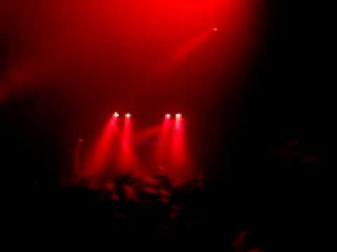 N.PHECT Musclecar BSE Blackout