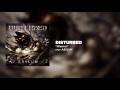 Disturbed - Warrior [Official Audio]