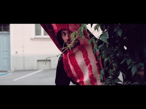 Vollblutvegetarier - BlechReizPop (Official Music Video)