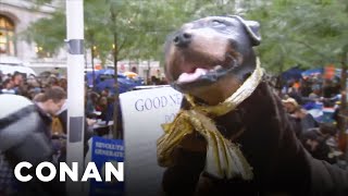 Triumph The Insult Comic @ Occupy Wall Street