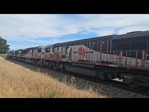 5PM9 SCT up "Dark Ghost" (4 locos), Forrestfield to Laverton, 1625, 10/11/24, Stawell VIC