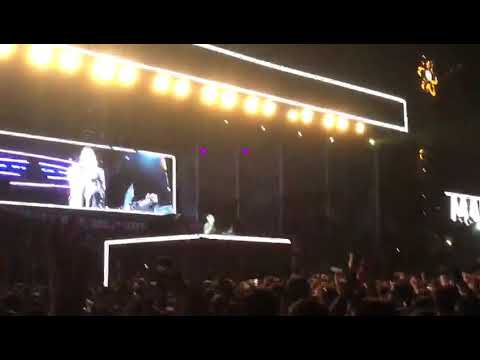 MACEO PLEX MANDARINE PARK 2020