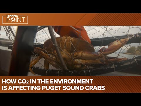 Free fishing weekend back in Washington State | king5.com