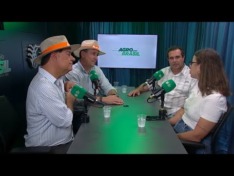 Amendoim cresce no MS e abre novas oportunidades no agro