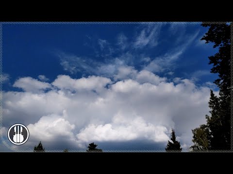 Distant Thunderstorm and Birds Sounds for Relaxation 🌩🌿 Summer Thunderstorm Sky