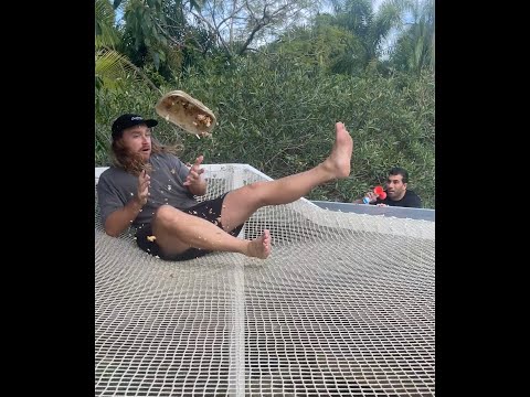 How hard is it to enjoy your Lunch in Peace!