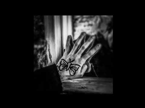 Kristijonas Ribaitis - Plaštakės