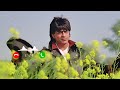 Tujhe Dekha To Ye Jana Sanam Ringtone Dilwale Dulhaniya Le Jayenge Song Best Ringtone Viral