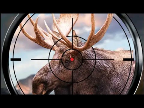 Wild Hunt : Sport Hunting Games. Hunter & Shooter 3D (by Ten Square Games) | Android Gameplay 4K