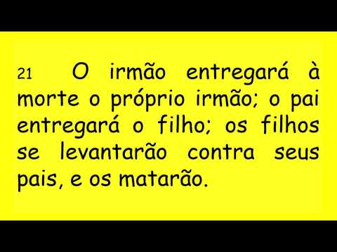 DIÁRIO ESPIRITUAL MISSÃO BELÉM 10/07/2020 - Mt 10,16-23