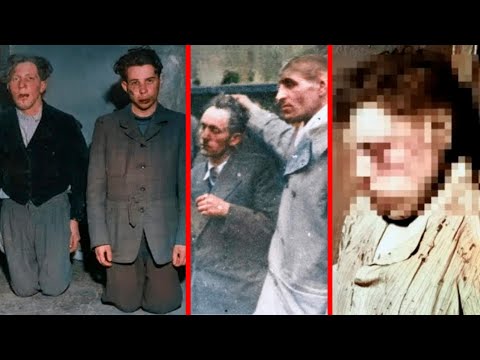 Das Massaker Von Dachau – Hinrichtung Von 100 SS-Wachen Nach Dem Todeszug