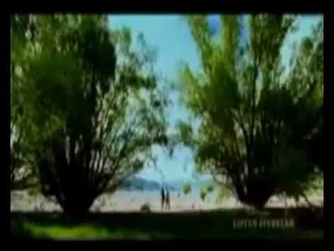 Summa Iruntha Suresh Da Wun.mp4