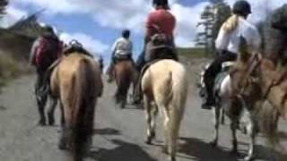 Mongolia horse riding tour