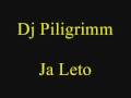 Dj Piligrim - Ja Leto 