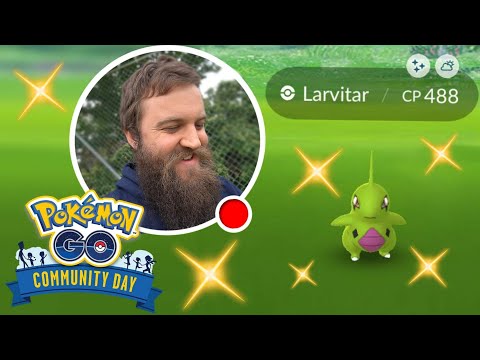 Larvitar Community Day CLASSIC! Live Pokemon GO Shiny Hunt