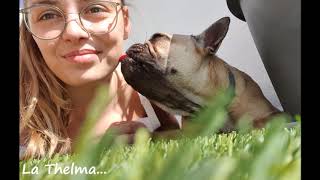 L'equip de l'escola us volem saludar i desitjar que estigueu bé