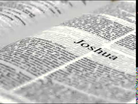 Joshua 20 - New International Version (NIV) Dramatized Audio Bible