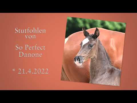 Nr 09 SF von So Perfect x Danone