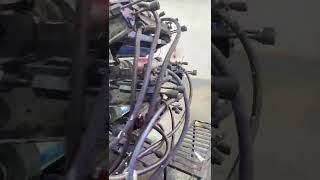 02 Impressoras 6 cores e 2 cores - Vídeo