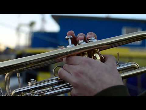 "Vamos, vamos, vamos Lobo, vamos ganhar  ( Negro José )" Barra: Unidos por uma Paixão &bull; Club: Pelotas