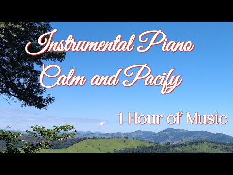 Soothing Music for Calm and Peace / 1 Hour of Instrumental Piano