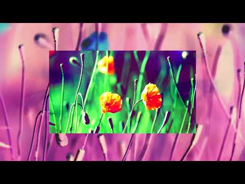 T I K A . 🌺 . ASIHO - SUBANDEGROUND (Varayok Prod.)