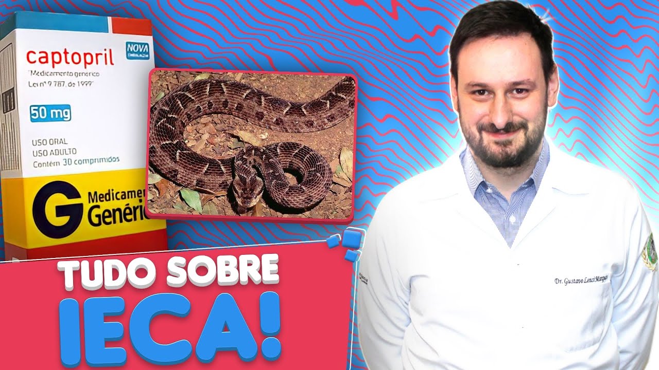 Tudo sobre IECA! | Captopril, Enalapril, Ramipril, Perindopril