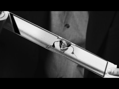 Martin Gal - Rideau (Clip officiel)