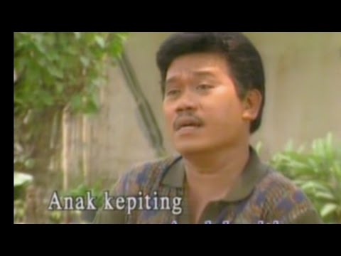 Bunga Tanjung - Eddy Silitonga