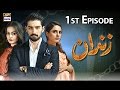 Zindaan  - 1st Episode - 7th March 2017 - ARY Digital Drama