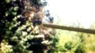 Real Nature Spirit Dragon