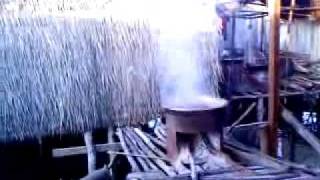 community-based dried sea cucumber collection
