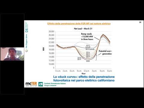 Cogenerazione e fonti rinnovabili di energia (FER) 